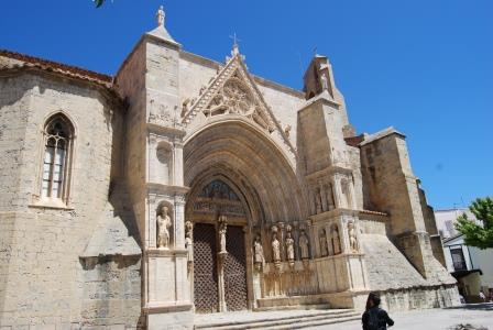 Morella 18